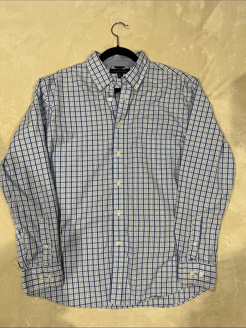 Tommy Hilfiger Light Blue and White Plaid Button-Down Shirt